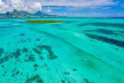 Bienvenue au Friday Attitude, un 3* Mauricien Ecoresponsable