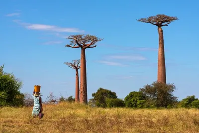 Circuit Splendeurs de Madagascar