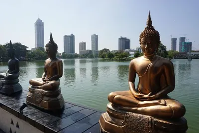 Circuit Splendeurs du Sri Lanka