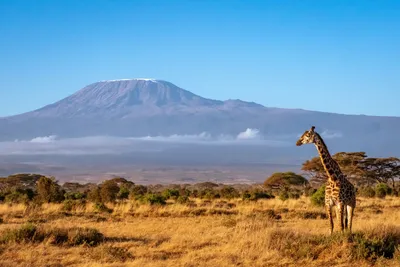 Combiné Kenya & Tanzanie