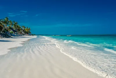 Combiné Kenya, Tanzanie & Balnéaire à Zanzibar