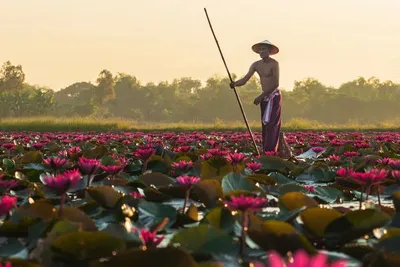 Circuit Immersion au Laos & Cambodge