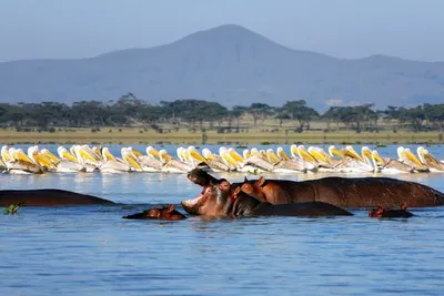 Circuit Merveilles du Kenya Samburu & Balnéaire Plage de Diani