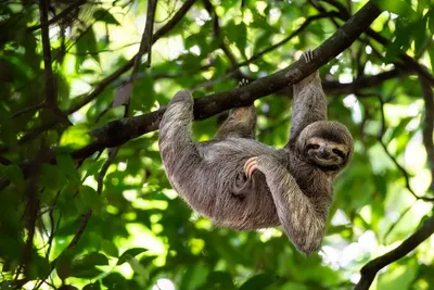 Circuit Splendeurs du Costa Rica