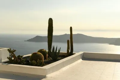 Combiné Privé Cyclades Santorin, Naxos, Syros et Mykonos en 3*