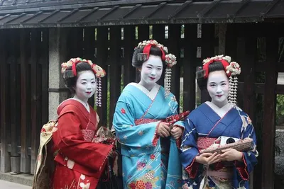 Circuit Immersion au Japon en Transports Locaux
