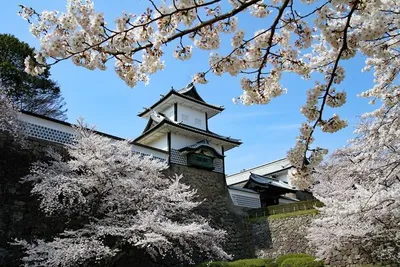 Circuit Immersion Intime au Japon - Version Véhicule Privé & Extension Tokyo
