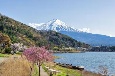 Circuit Merveilles du Japon & Alpes Japonaises