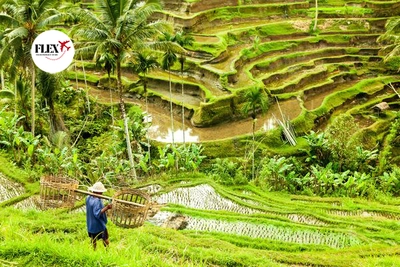 Circuit Splendeurs de Bali