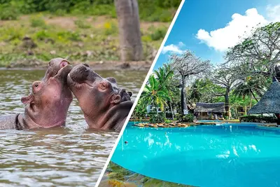 Combiné Safari inoubliable au Kenya : Masai Mara, Naivasha & Amboseli & Ôclub Experience Papillon Lagoon Reef 4*
