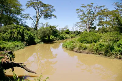 Hôtel Crystal Bay Resort 4* + Safari Tsavo East – Amboseli – Tsavo West 3 nuits