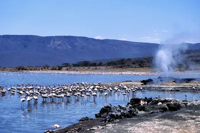 Hôtel Pinewood Beach Resort & Spa 4* + Safari Tsavo East 1 nuit