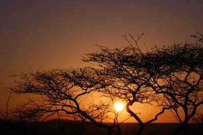 Hôtel Neptune Village Beach Resort & Spa 4* + Safari Tsavo East 3 jours / 2 nuits