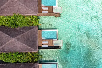 Hôtel dusitD2 Feydhoo Maldives 5* by Ôvoyages