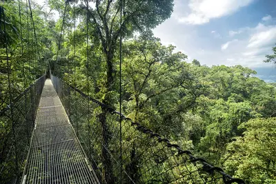 Circuit Découverte et aventure au Costa Rica