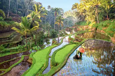 Circuit Bali, l'ile enchantée + Extension à Sanur