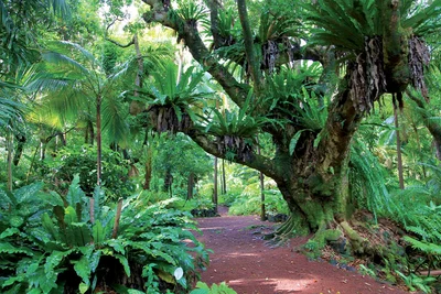 Autotour Réunion Eco-raisonné