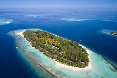 Hôtel Royal Island 5*