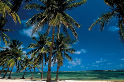 Autotour Guadeloupe
