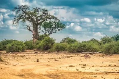 Circuit Splendeurs de Namibie 3* & extension Chobe & Chutes Victoria