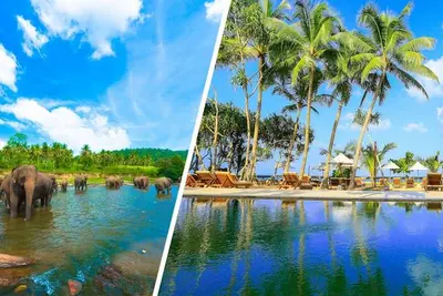 Combiné Circuit Balade Sri Lankaise privative & Ôclub Experience Pandanus Beach Resort & Spa 5*