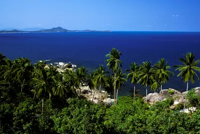 Circuit Trésors de Thaïlande & Koh Samui 4*