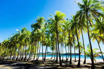 Circuit Beautés du Costa Rica et extension Puntarenas