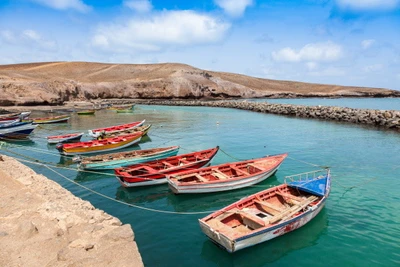 Circuit Adult only +18 - Échappée Capverdienne depuis le Riu Cabo Verde