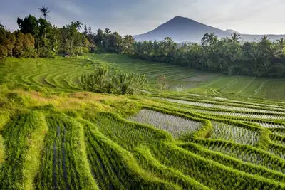 Circuit Merveilles de Bali