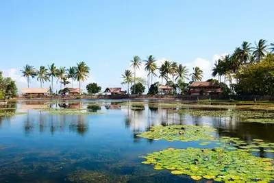 Circuit Joyaux de Bali, Munduk