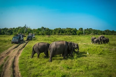 Combiné circuit et hôtel Découvertes Srilankaises 4* et extension Anantaya Resort & Spa 5*