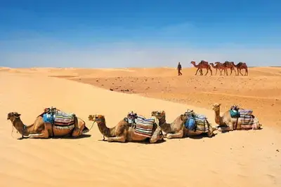Circuit Balade Tunisienne