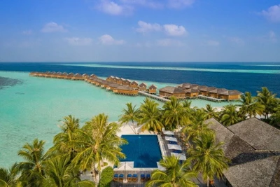 Hôtel Vilamendhoo Island Resort & Spa