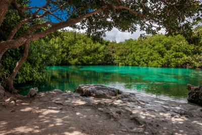 Circuit Echappée Mexicaine Classique depuis l'hôtel Bahia Principe Grand Tulum