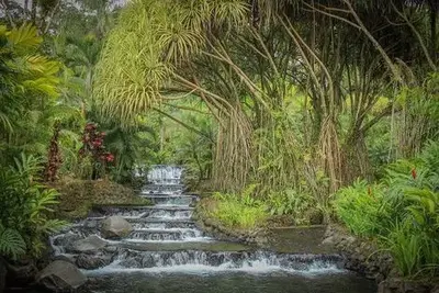 Circuit Douceurs du Costa Rica