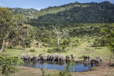 Circuit Les plus beaux safaris d'Afrique