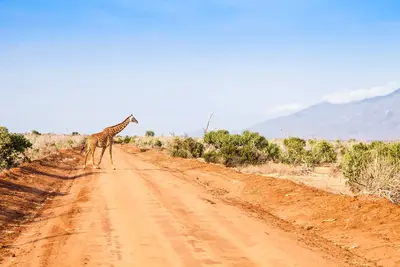 Hôtel Jumbo resort Watamu 4* avec 2 nuits Tsavo est/Ouest