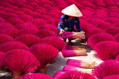 Circuit Toutes les couleurs du Vietnam