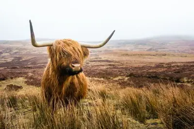 Circuit Iles & Highlands