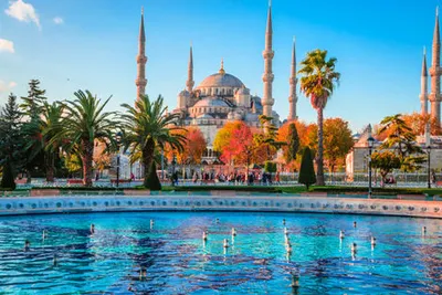 Circuit Les Perles de la Jordanie & Istanbul