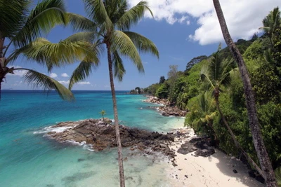 Hôtel Adult Only +14 - Hilton Northolme Resort & Spa