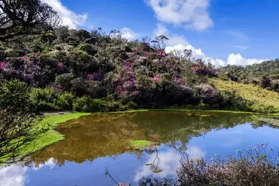 Circuit Aventure Sri Lankaise et Plage à Weligama en Privatif