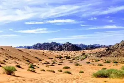 Circuit Couleurs et Richesses de l'Arabie Saoudite (Hôtels standards)
