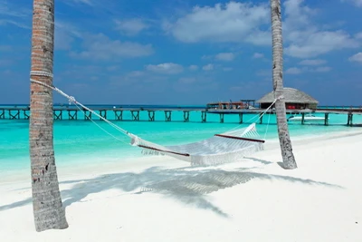 Hôtel Constance Halaveli Maldives