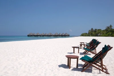 Hôtel Coco Palm Dhuni Kolhu