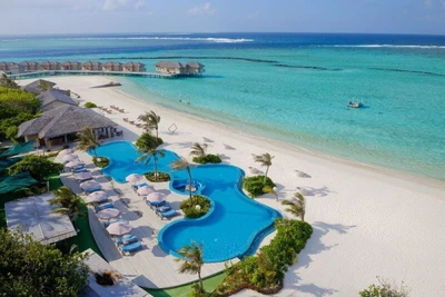 Hôtel Adult Only + 16 - You & Me Maldives, The Cocoon Collection