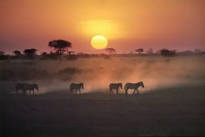 Combiné circuit et hôtel Diamonds Leisure Beach avec1 n safari Tsavo Est