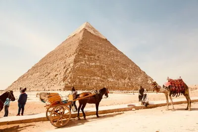 Combiné croisière et hôtel Fabuleuse Egypte et Gravity Hotel et Aquapark Hurghada