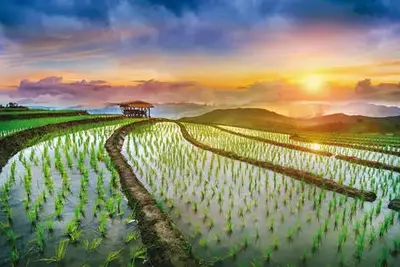 Circuit Richesses et traditions de Thaïlande + extension découverte du sud