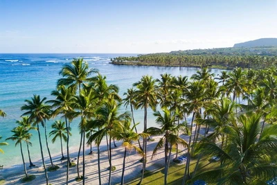 Club Ôclub Select Wyndham Alltra Samana